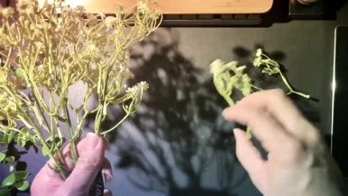 IMG_1776.jpg?type=w386