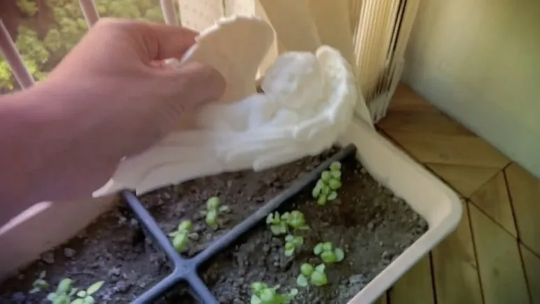 IMG%EF%BC%BF4713.jpg?type=w773