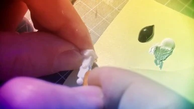 IMG_1354.jpg?type=w386