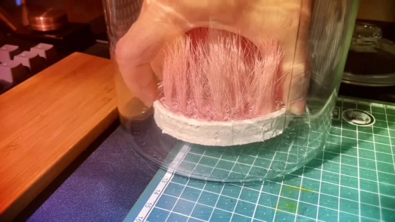 IMG_2431.jpg?type=w773