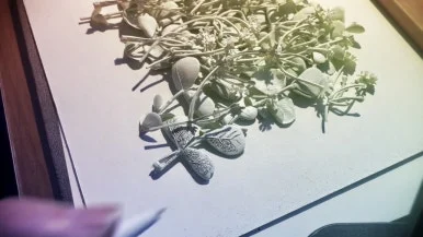 IMG_1796.jpg?type=w386