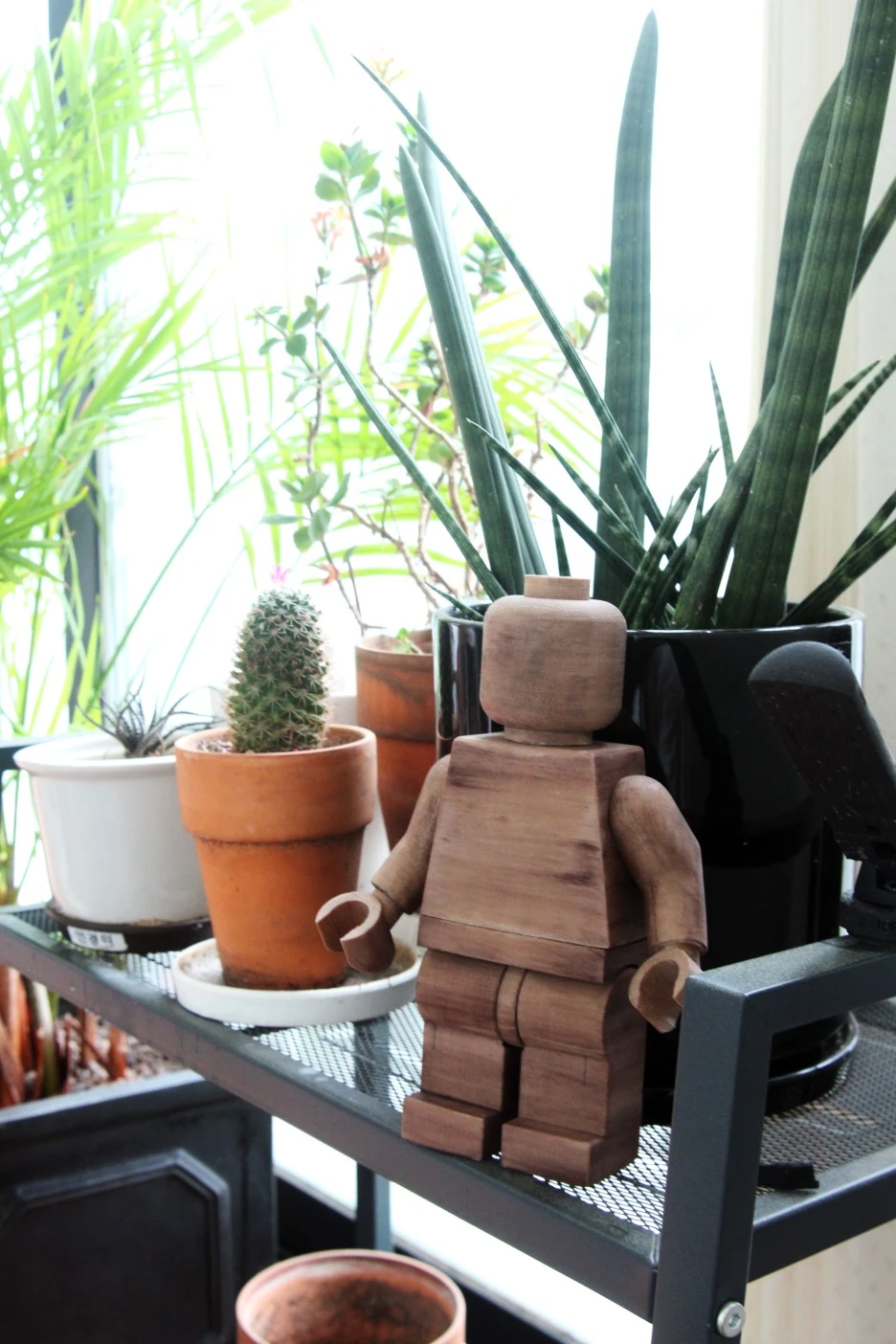 IMG_6024.JPG?type=w1