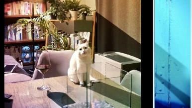 IMG_1204.jpg?type=w386