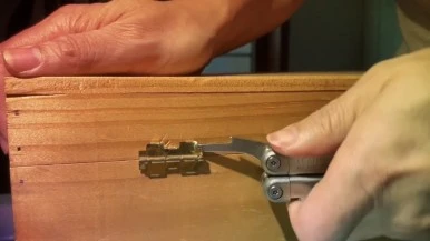 IMG_0420.jpg?type=w386