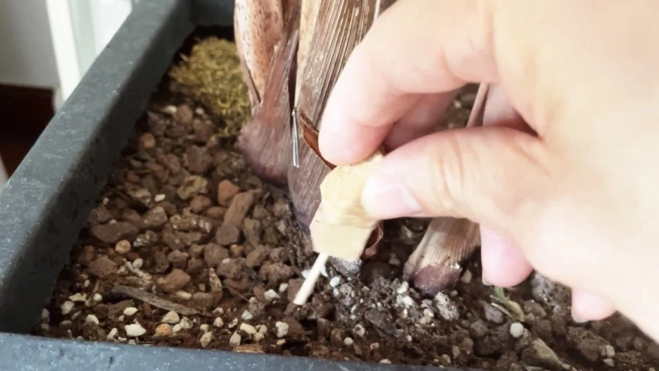 IMG_5440.jpg?type=w1