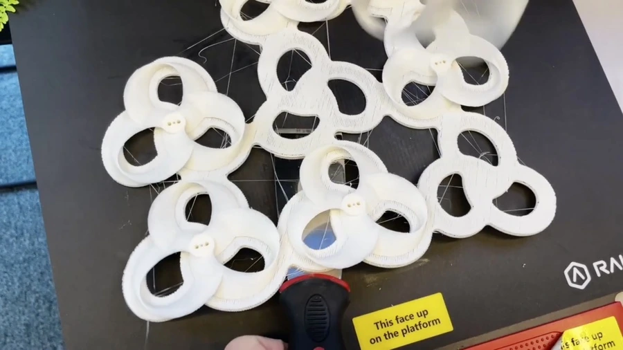 IMG_8229.jpg?type=w1