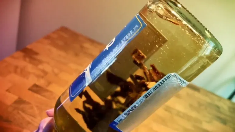 IMG_2238.jpg?type=w773