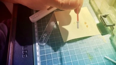 IMG_0866.jpg?type=w386