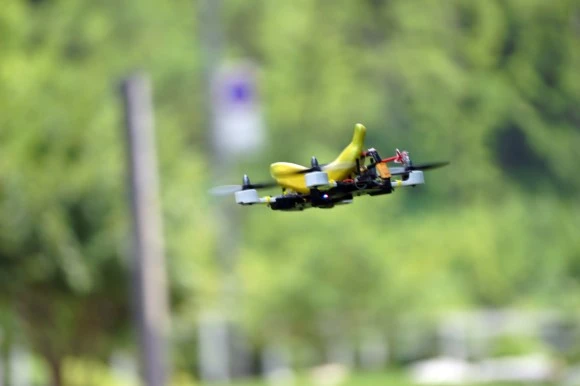 DSC06855.jpg?type=w580