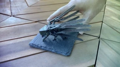 IMG_3175.jpg?type=w386