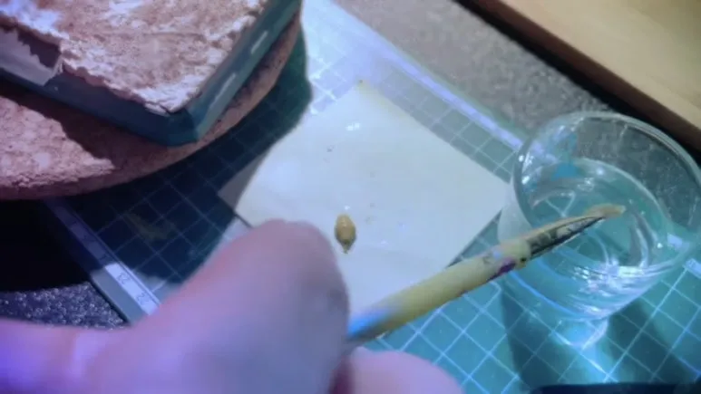 IMG_3559.jpg?type=w773