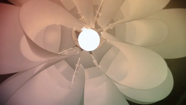 IMG_4022.jpg?type=w773