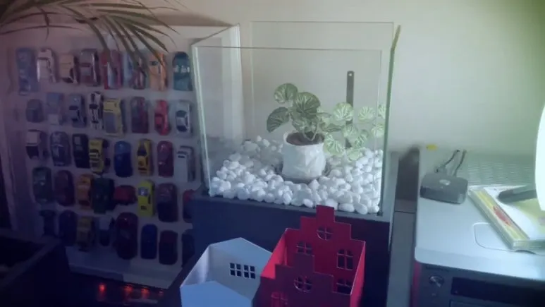 IMG_3410.jpg?type=w773