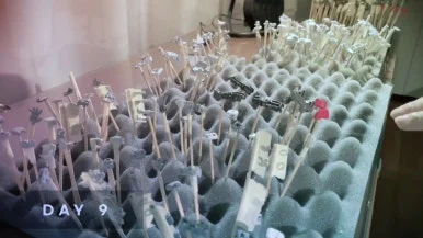 IMG%EF%BC%BF5575.jpg?type=w386