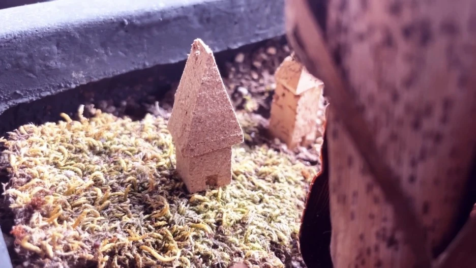 IMG_5443.jpg?type=w1