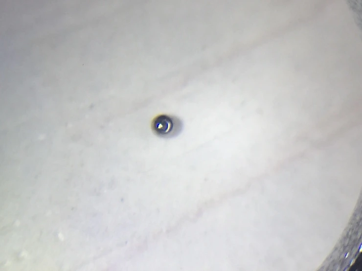 IMG_3094.JPG?type=w1