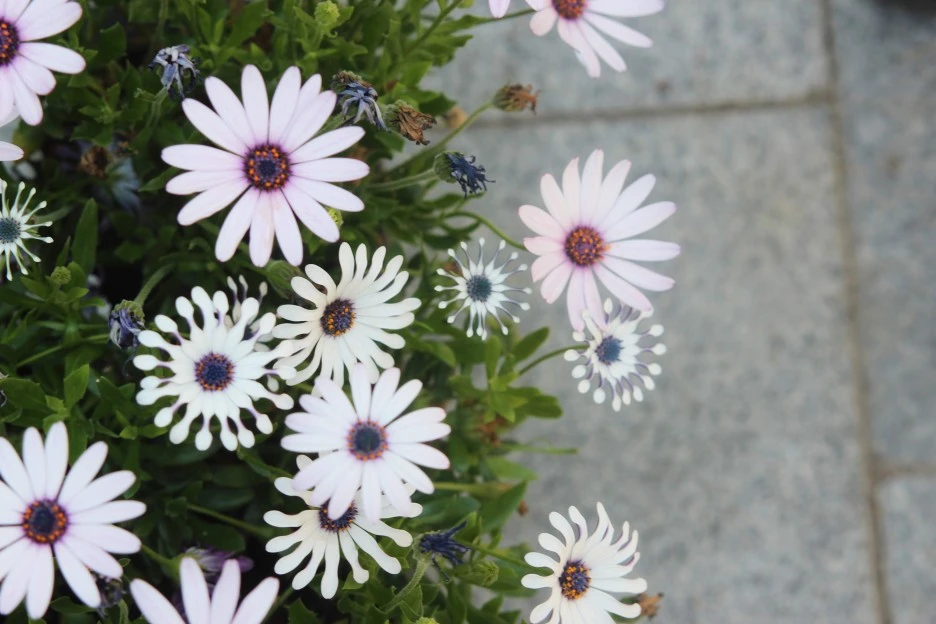 IMG_5288_Original.jpg?type=w1