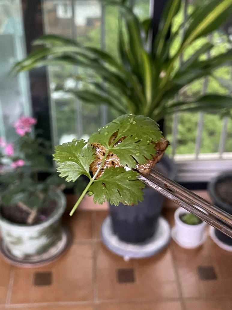 IMG_8871.JPG?type=w773