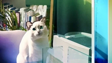 IMG_1207.jpg?type=w386