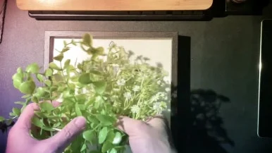 IMG_1775.jpg?type=w386