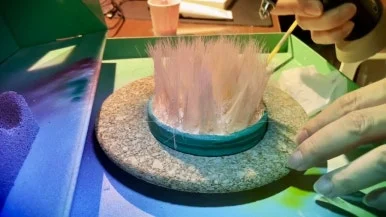 IMG_2424.jpg?type=w386