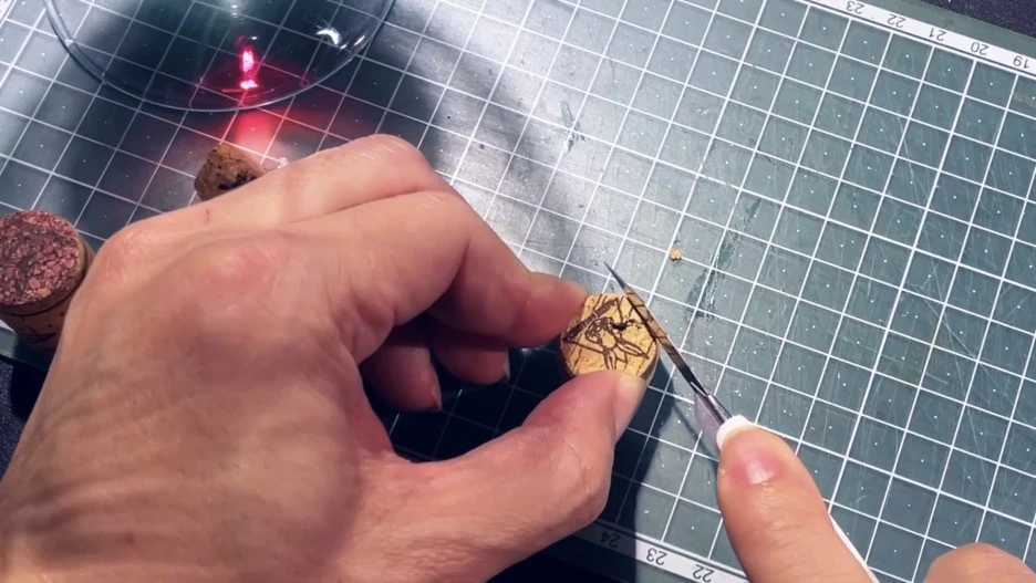 IMG_5431.jpg?type=w1