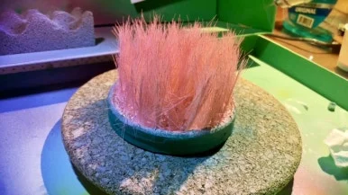 IMG_2425.jpg?type=w386