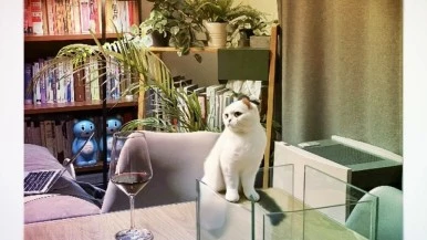 IMG_1199.jpg?type=w386