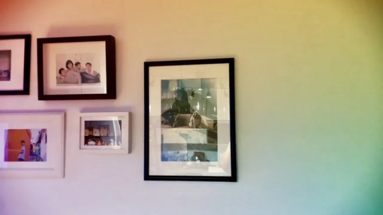 IMG_1220.jpg?type=w773