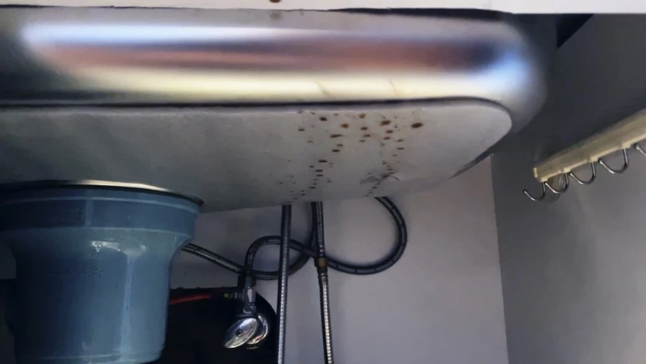 IMG_5905.jpg?type=w1