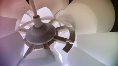 IMG_4023.jpg?type=w386