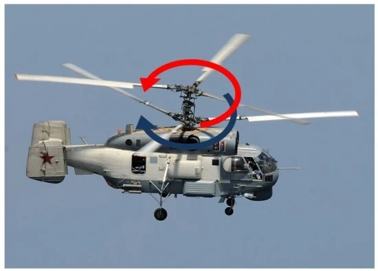 %B5%BF%C3%E0_%B9%DD%C0%FC%C7%FC_%C7%DB%B1%E2.JPG?type=w3