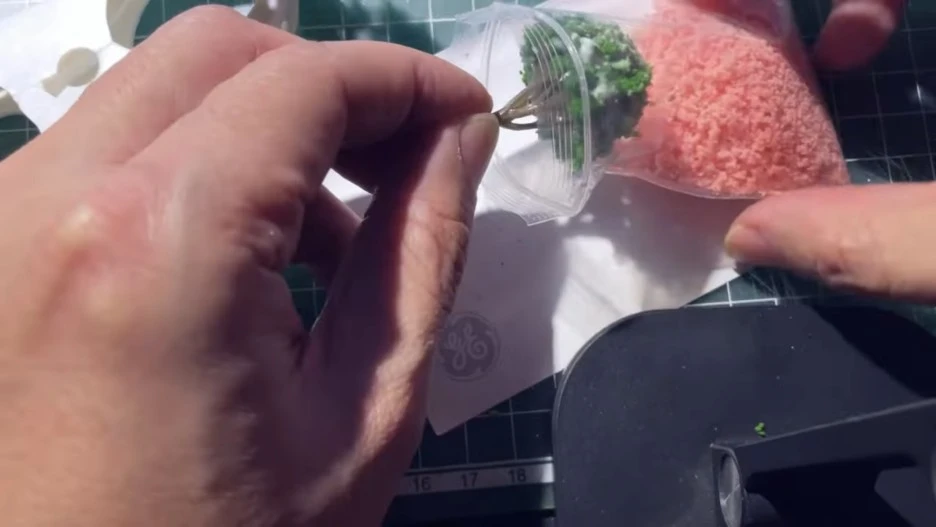 IMG_8463.jpg?type=w1