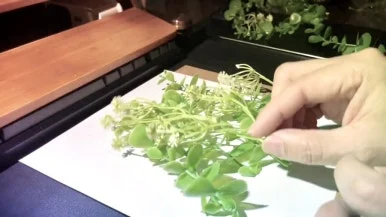 IMG_1779.jpg?type=w386