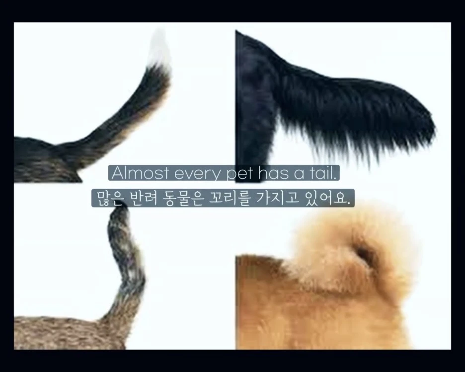 IMG_5859.jpg?type=w1