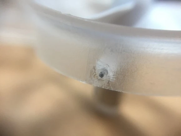 IMG_5928.JPG?type=w580