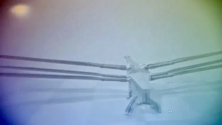 IMG_3108.jpg?type=w773