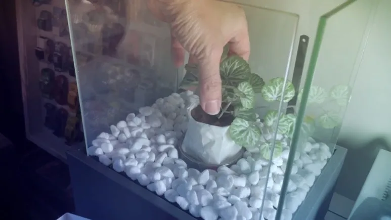 IMG_3408.jpg?type=w773