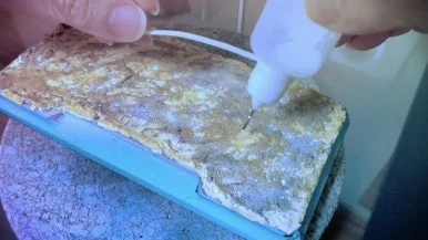 IMG_3561.jpg?type=w386