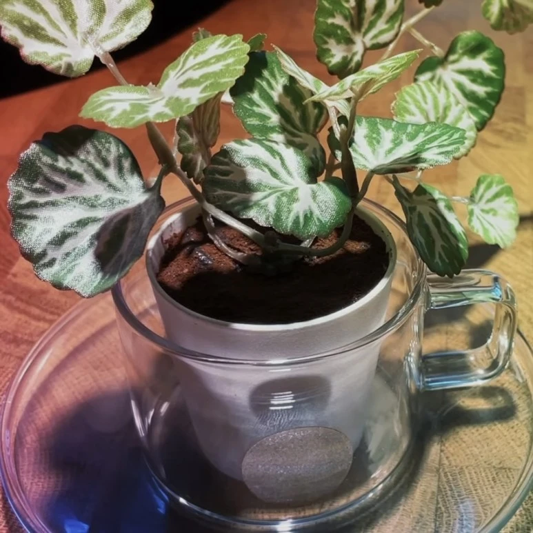 IMG_9281.jpg?type=w773