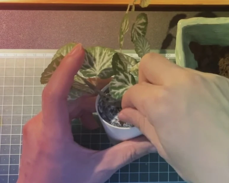 IMG_9276.jpg?type=w773