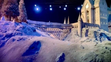 IMG_2901.jpg?type=w386