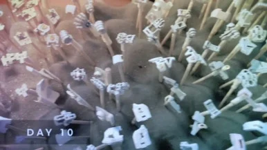 IMG%EF%BC%BF5577.jpg?type=w386