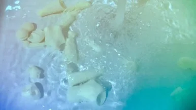 IMG_3857.jpg?type=w386