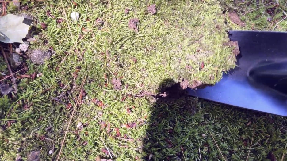 IMG_4147.jpg?type=w1