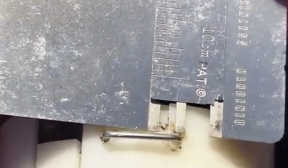 IMG_5972.jpg?type=w1