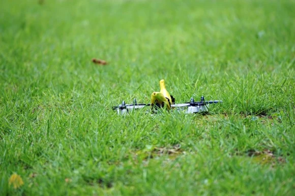 DSC06862.jpg?type=w580