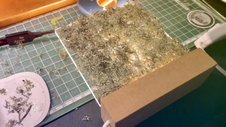 IMG_9304.jpg?type=w773