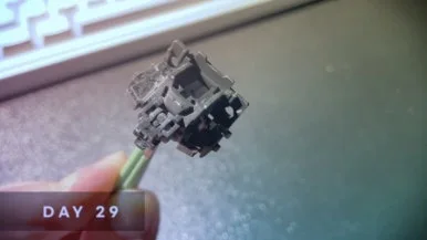 IMG%EF%BC%BF5622.jpg?type=w386