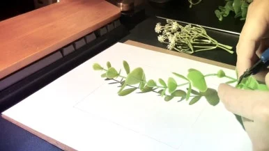 IMG_1777.jpg?type=w386